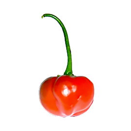 Peppadew-red-pepper
