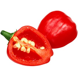 Small-oblong-piquante-red-pepper-Maroc